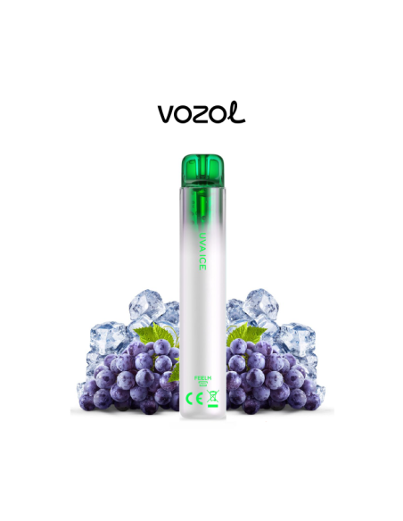 Pack x5 Vozol Neon