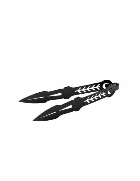 Pack Completa Tu cachimba Phunnel